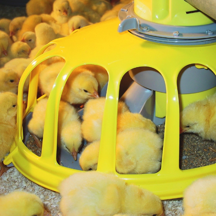 Chinese Top Quality Broiler Chicken Farm Equipment for Layer and Breeder