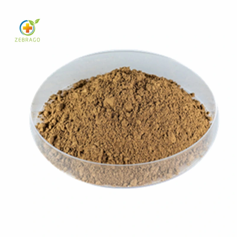 Olive Leaf Extract Factory Supply Pure Natural Olive Leaf Plant Extract