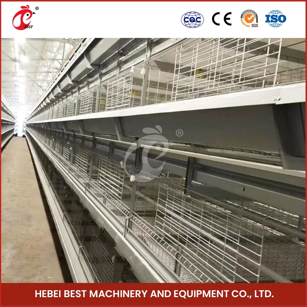 Bestchickencage China Pretty Chicken Coop Supplier H Frame Automatic Boriler Cages Free Sample Dark Grey-White/Dark Grey-Red Large Chicken House