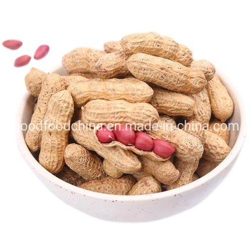 Raw Peanuts Sold in Beloved Shells