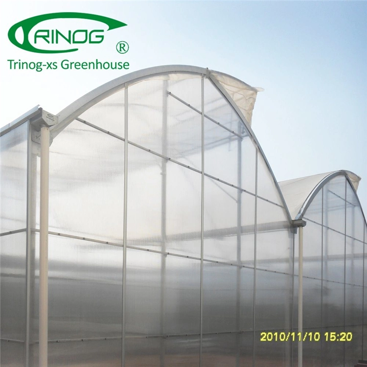 Commercial Large Plastic Film Green House for Plant Growth