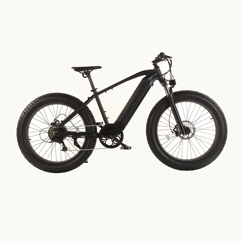 Amazon Top Selling 750W Powerful Fat Tire Electric Bike