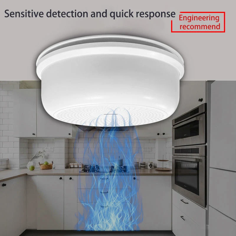 Combustible Gas Detector, Carbon Monoxide Detector, LNG Detection Alarm Smoke Alarm