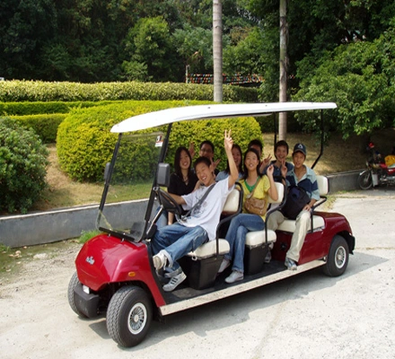 CE Approved Antique Electric Golf Cart 8 Seats Electric Sightseeing Car