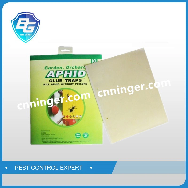 Insect Glue Trap, Double Sides Glue Coated Yellow PP Board