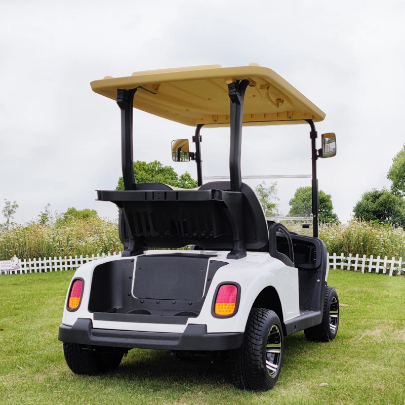 Buena Venta poderosos 4 videntes batería de litio coche de golf eléctrico Vehículo en buggy