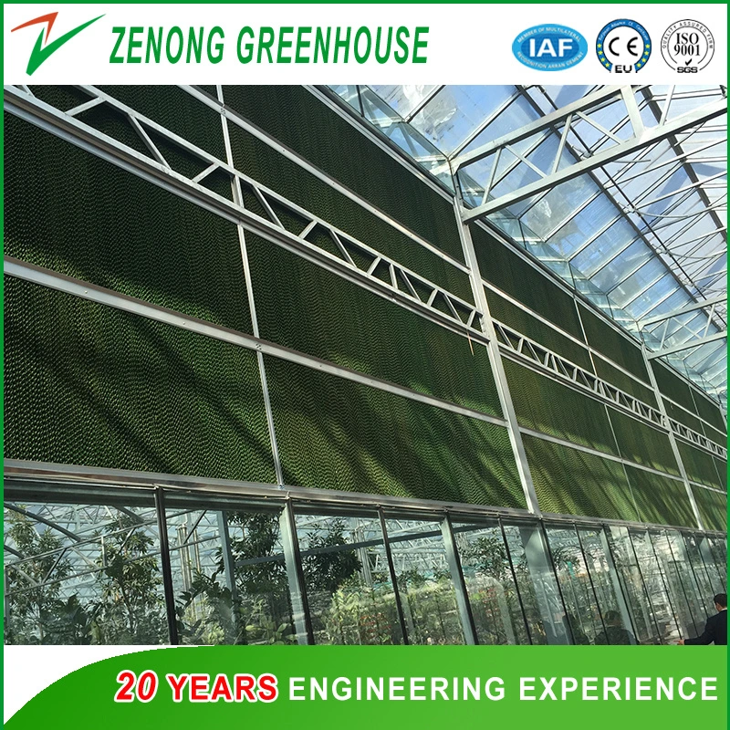 Professional Greenhouse Wet Curtain for Lower The Temperature in The Greenhouse/Poultry Farm