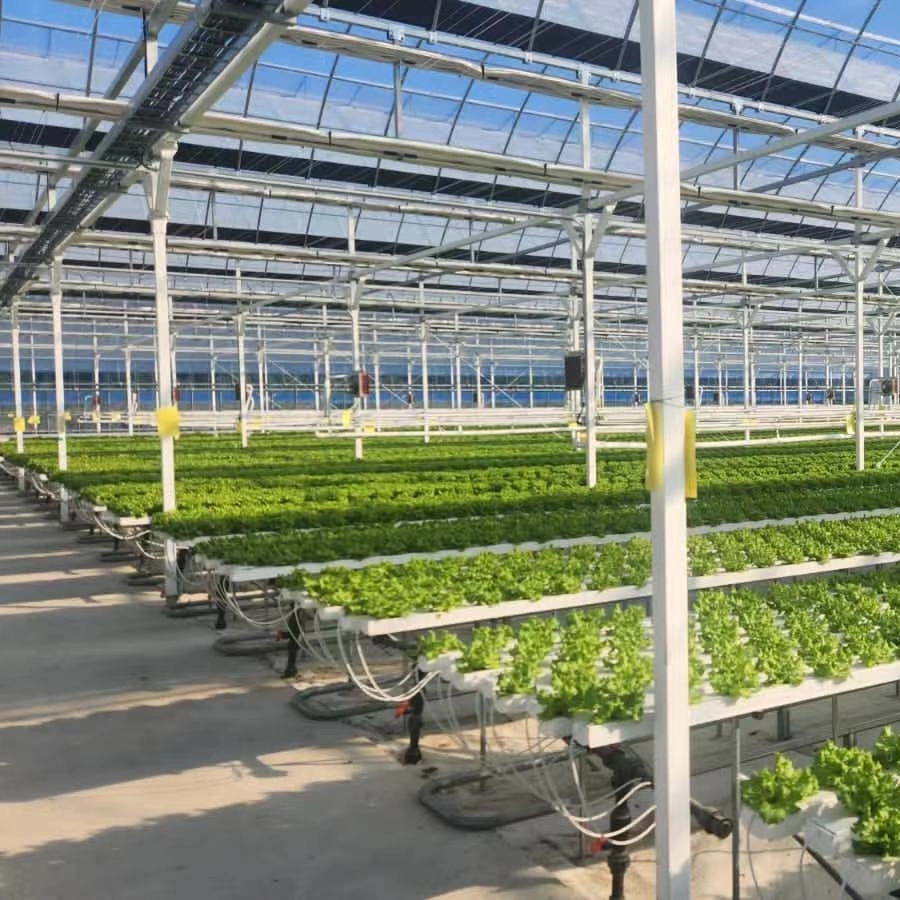 Hydrokultur Gewächshaus Nft Kanal Salat Pflanzung Hydrokultur System
