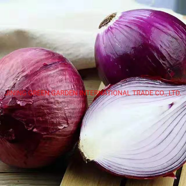 Fresh Red Onion China Origin Top Quality Good Price Free Sample Rich Nutrition