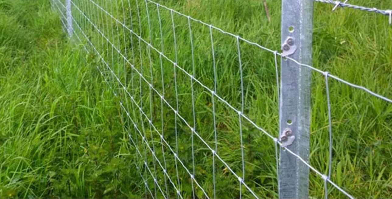 Valla de alambre cabezas de ganado a caballo. Delimitación de las ovejas para la granja de vallas