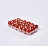 custom square disposable plastic vegetable fruit tray