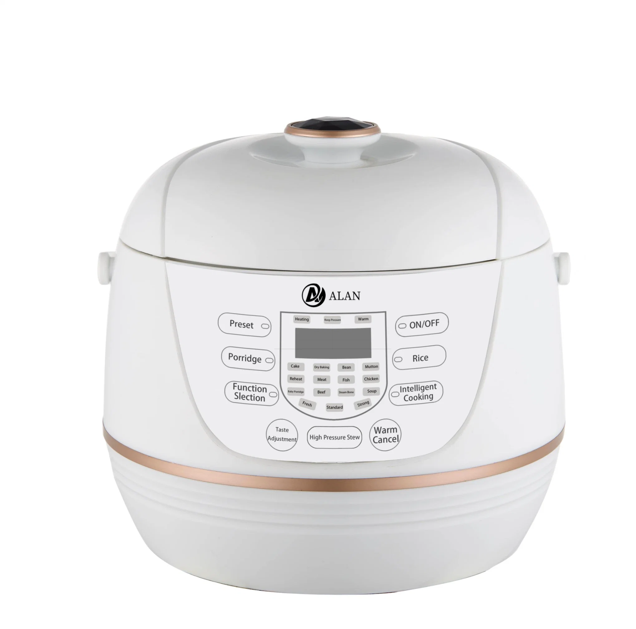 Full Plastic Housing 5L/6L Private Model Round Shape Electric Pressure Cookers with a Handle