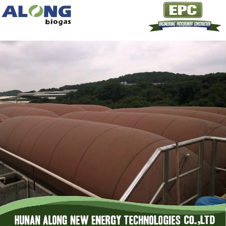 PVC Coated Fabric Soft Biogas Digester Flotation Soft Tank Holder