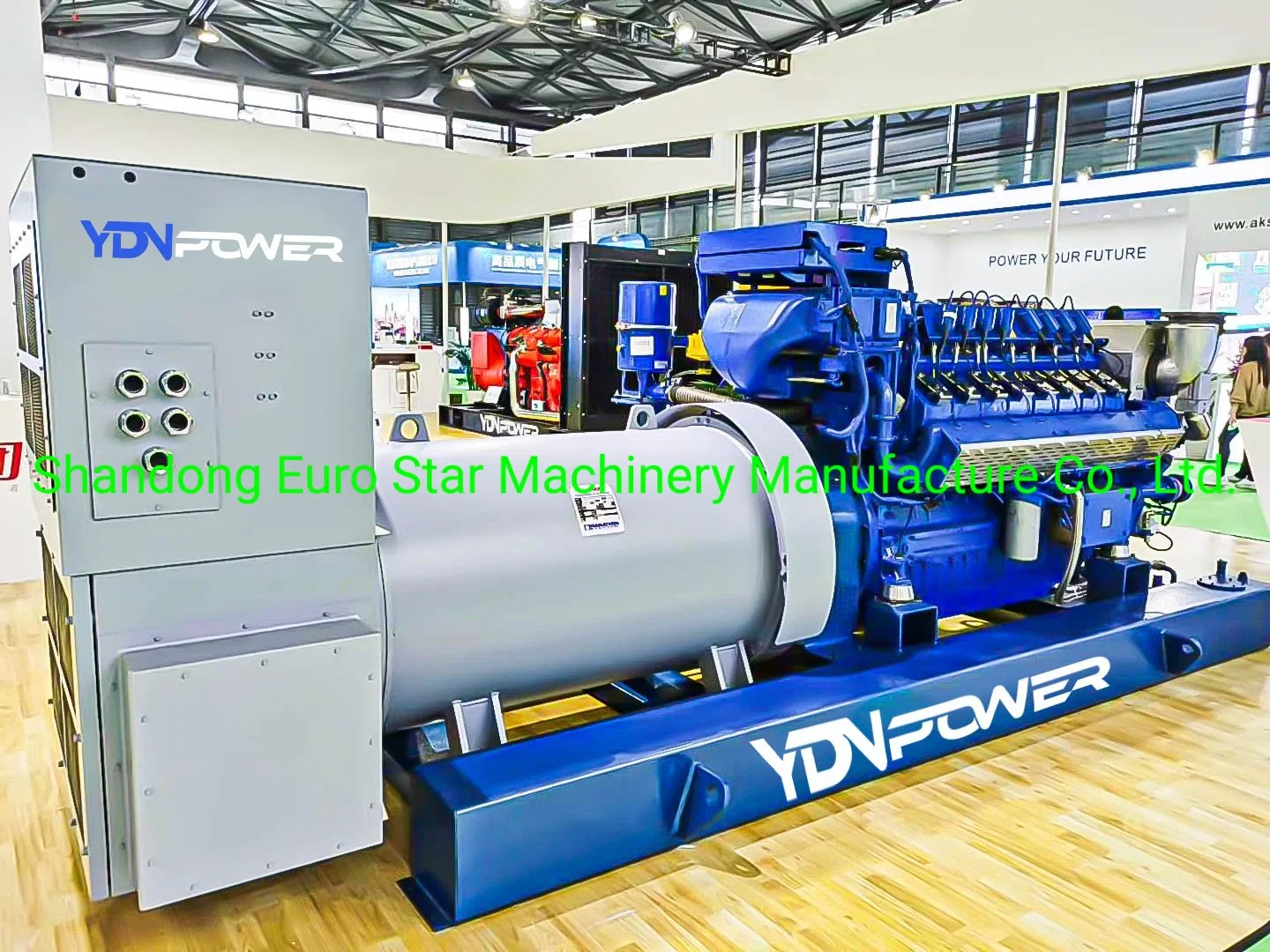 1MW Natural Gas Generator for Power Plant