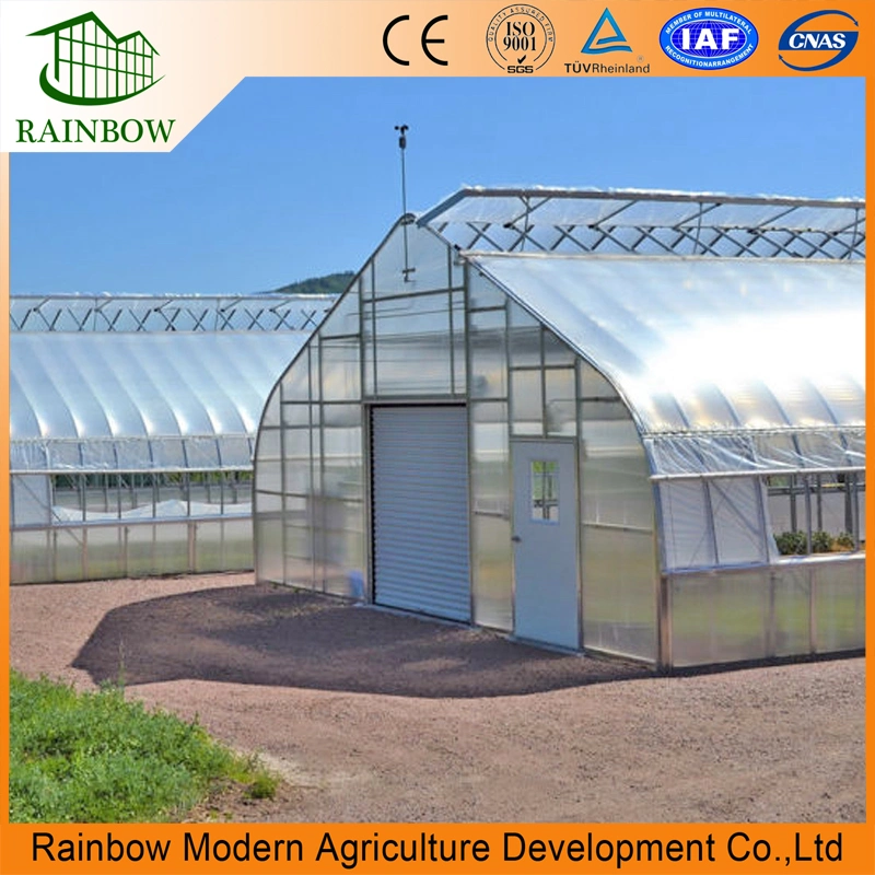 Agricultural Multi Span Plastic Film Greenhouse