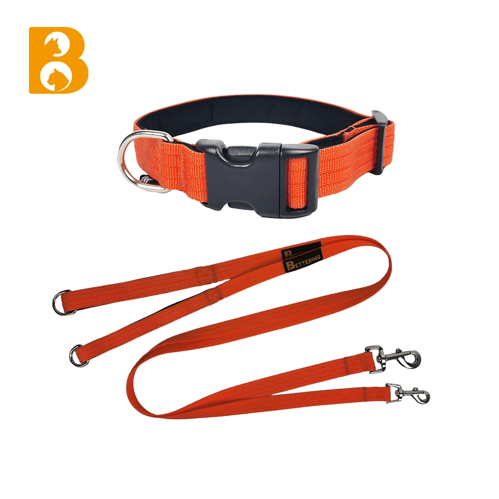 Collier pour chien assorti avec laisse pour l'entraînement de marche de haute qualité Fils de collier pour chien en nylon PET