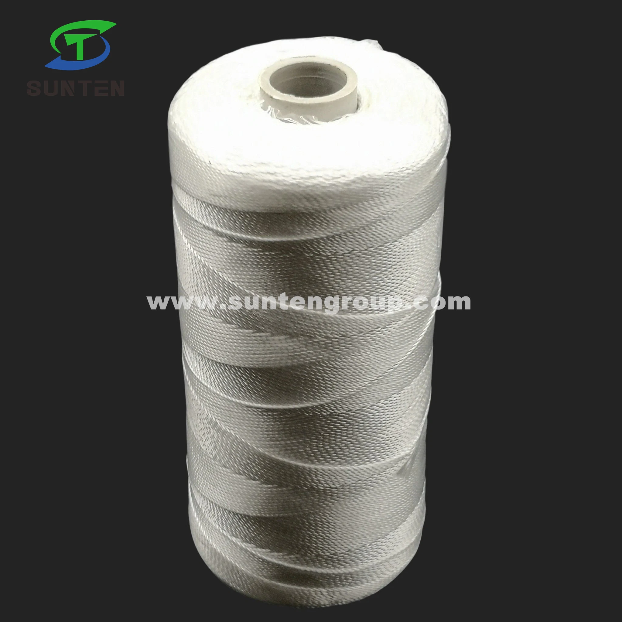 EU Standard High Tenacity White PE/PP/Polyester/Nylon/ Plastic Twisted/Braided/Baler/Thread/Packing Line/Fishing Net String (210D/380D)