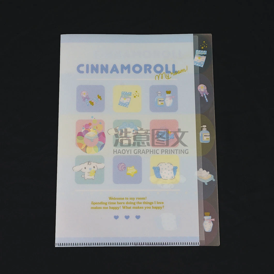 China Wholesale/Supplier Company Large Capacity Color Folder Printing Packaging