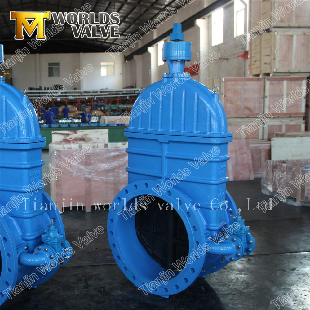 Ductile Iron Rubber Coated Gate Valve for Water Pipeline