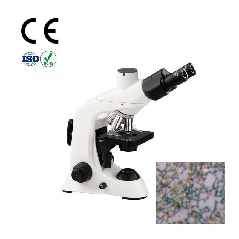 1000X Student Medical Instrument for Portable Binocular Microscope