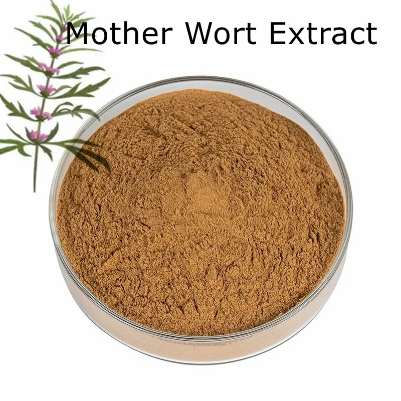 100%Natural Mother Wort Extract (Flavonoids 5%) for Heart Conditions