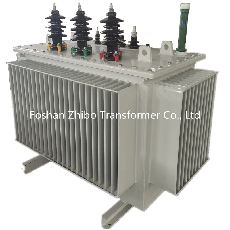 20, 22, 24kv 100kVA Oil Immersed Distribution Power Transformer