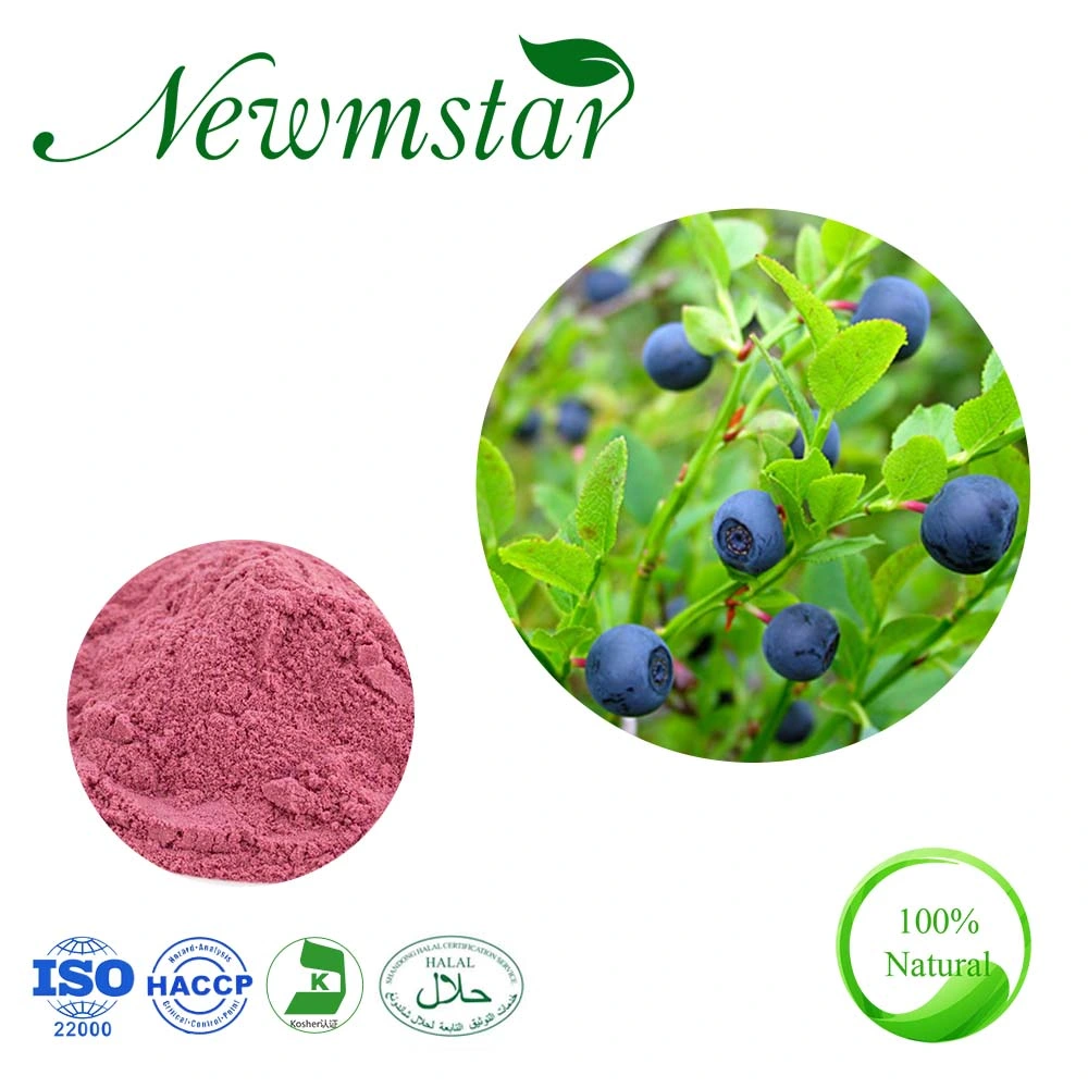 Pure Natural Cosmetics Material Bilberry Powder 25% Anthocyanin Bilberry Extract