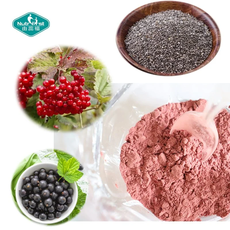 Health Superfood Supplement Ultra Berry Fruit Blend Beauty Drink Powder for Skincare