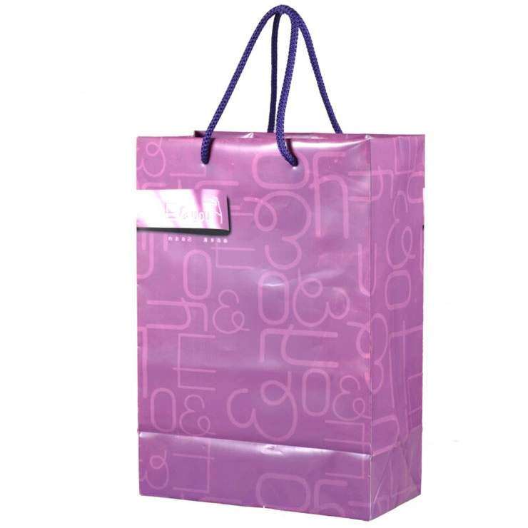 Bolsas de asa de cuerda de alta calidad para ir de compras y de promoción (FLS-8202)