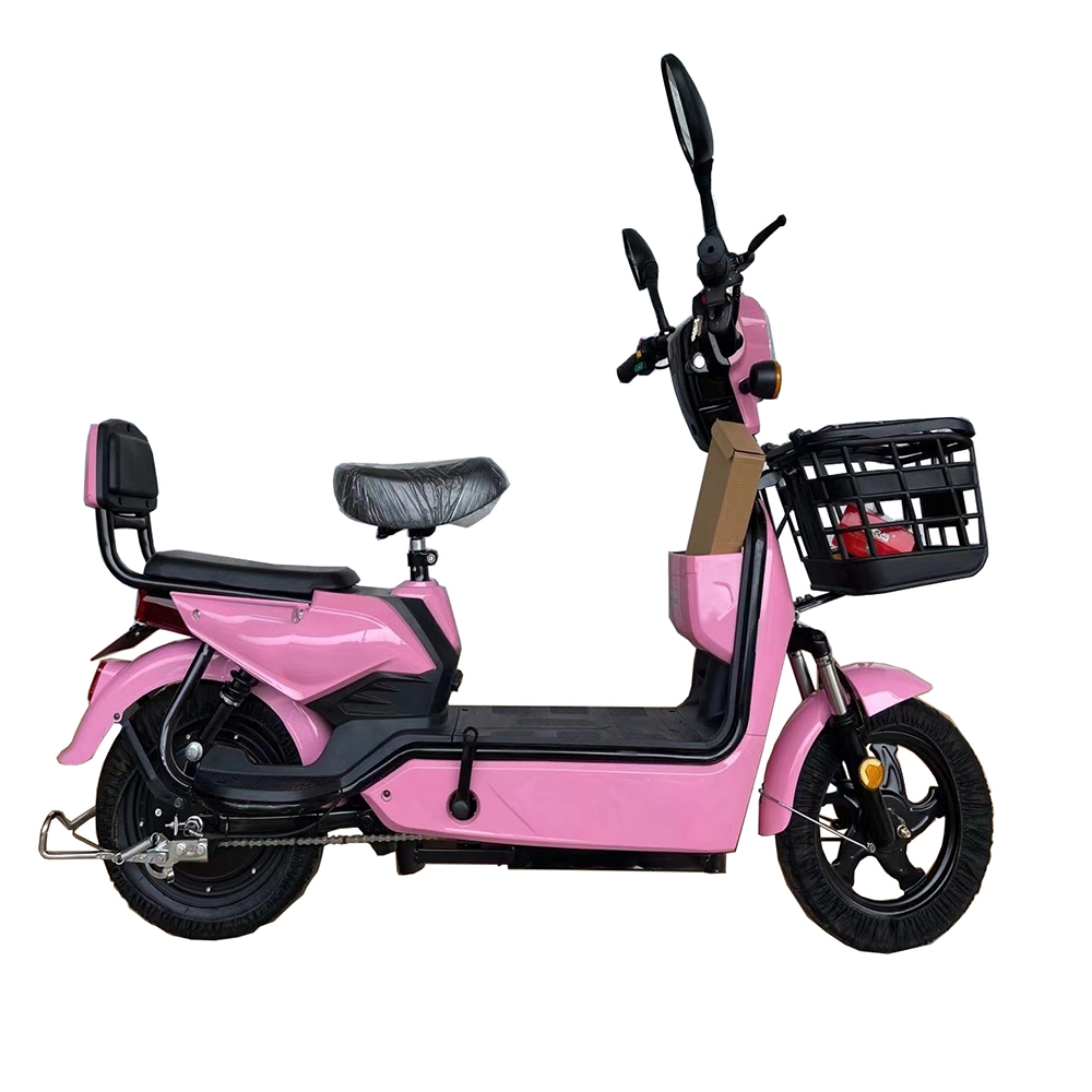 Tjhm-007ss tricycles électriques scooter de vélo électrique adulte vélo électrique Vélo électrique vélo électrique électrique