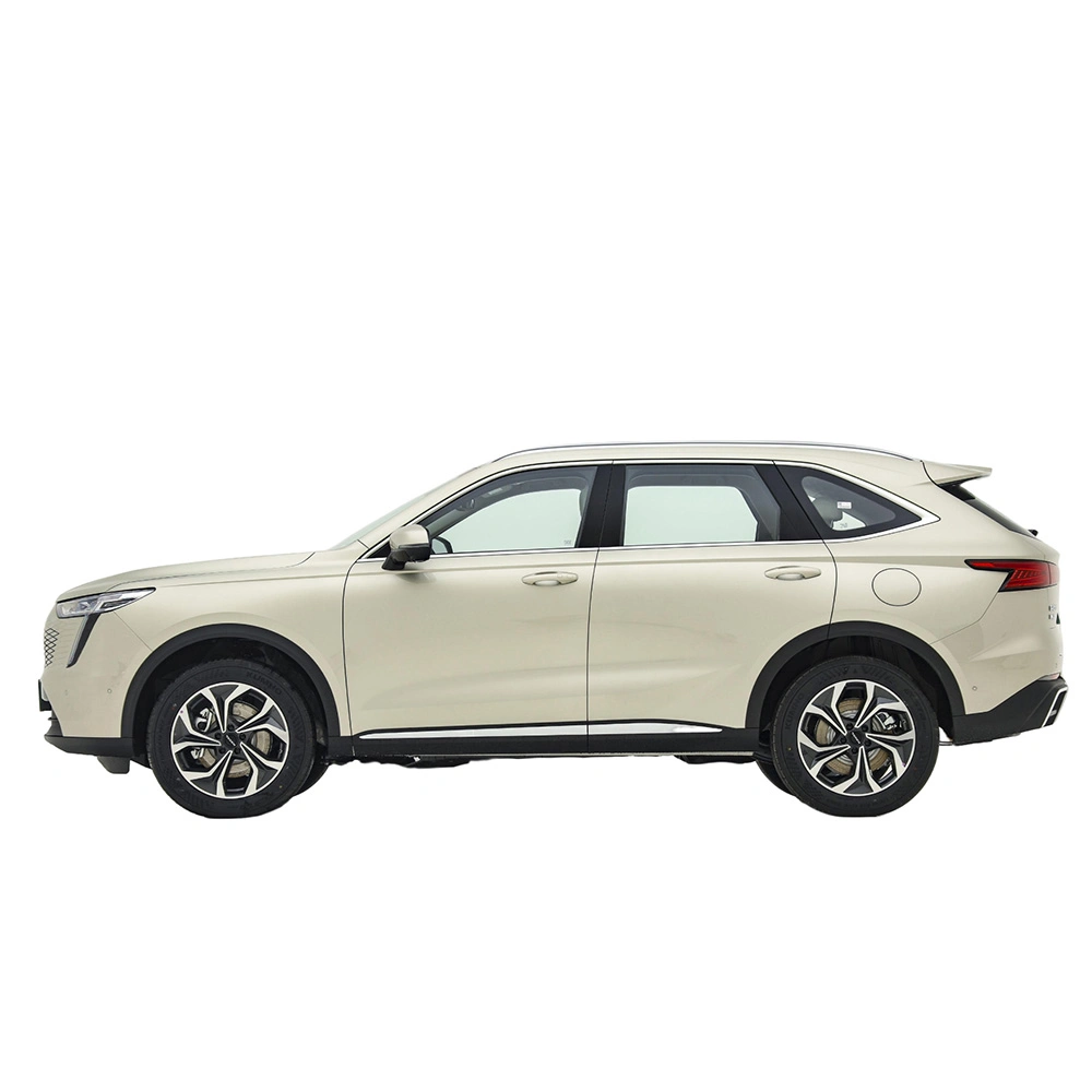 Great Wall Haval Owl Dragon Max 2023 cor de café