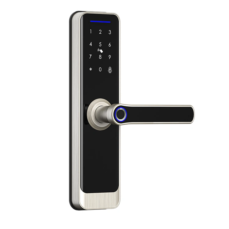 Hot Selling Factory Price Ttlock APP Smart Lock Tuya Smart Door Lock for Airbnb Apartment Condominium Hotel Smart Home