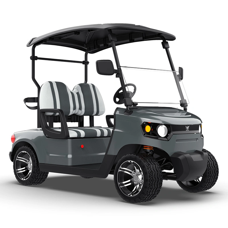 Buggy Kinghike/carrinhos de golfe refeições e carregados em contentores E Z Ir Buggy Carrinho