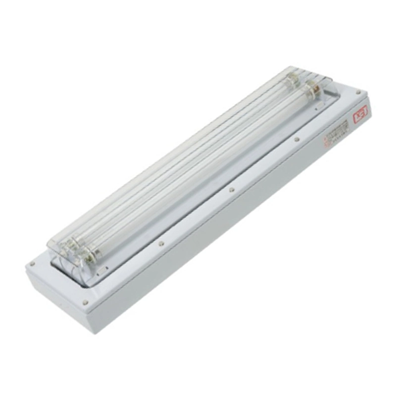 IP67 Certified Metal Body 0.5mm PC Diffuser Stainless Batten Light Fixture