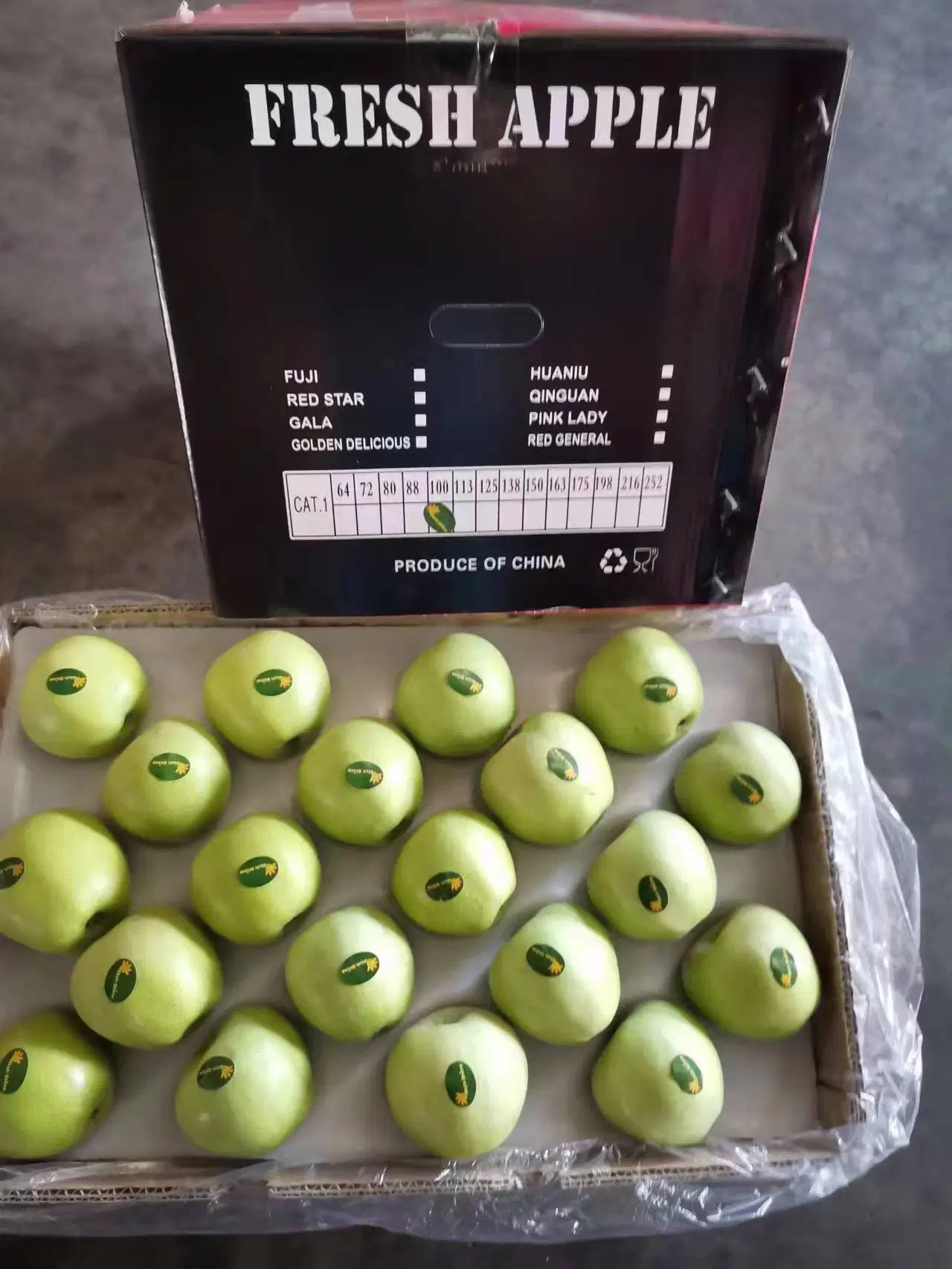 New Crop of Fresh Qinguan Apple