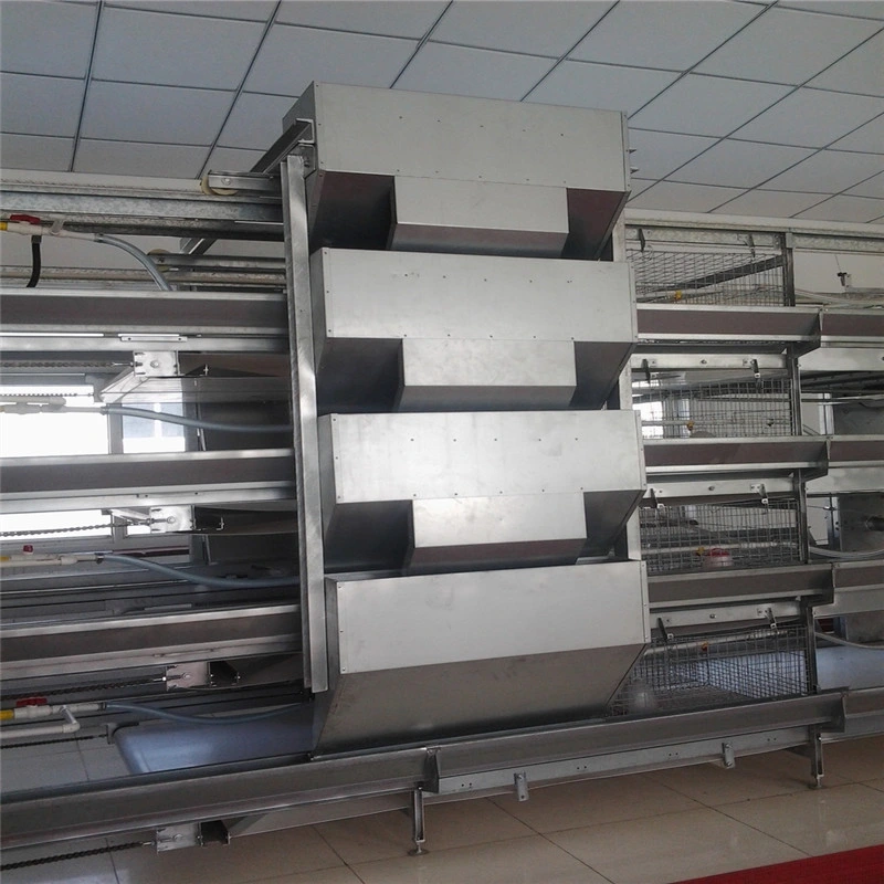 Light Low Cost Automatic Quality Easily Feed Poultry Equipment