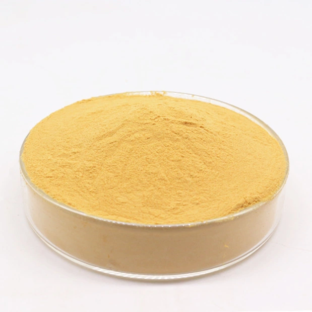 Best Chitosan Food Grade 100% Watersoluble Chitosan Powder