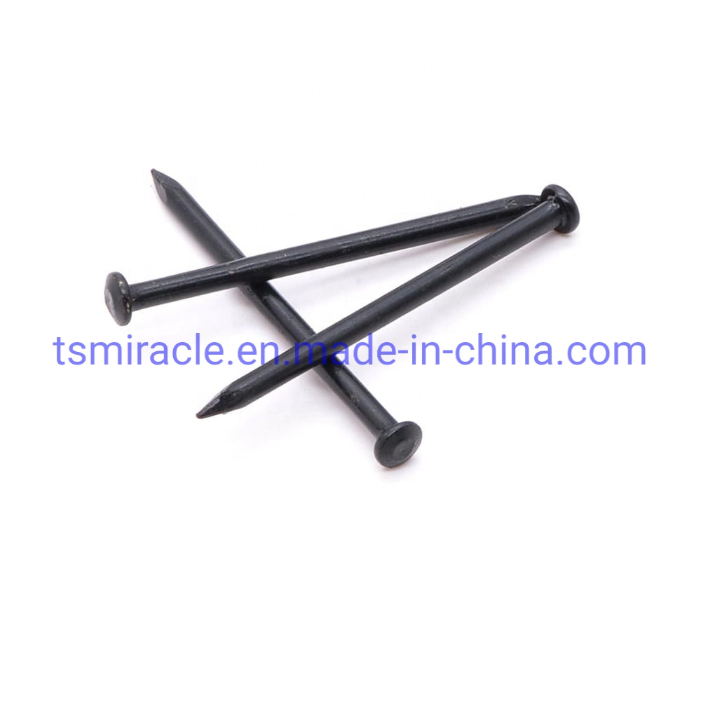 High quality/High cost performance  Black Steel Concrete Nail Factory Price Cement Nail