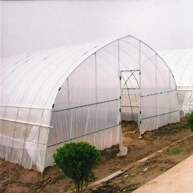 WMGH034 الزراعة متعددة المدى الدفيئة الزجاجية Hydroponic Green house