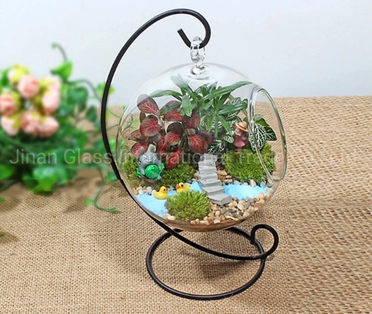 Micro Landscape Iron Frame Glasvase Transparent Hängende Runde Flasche Moss DIY Vase Creative Home Crafts