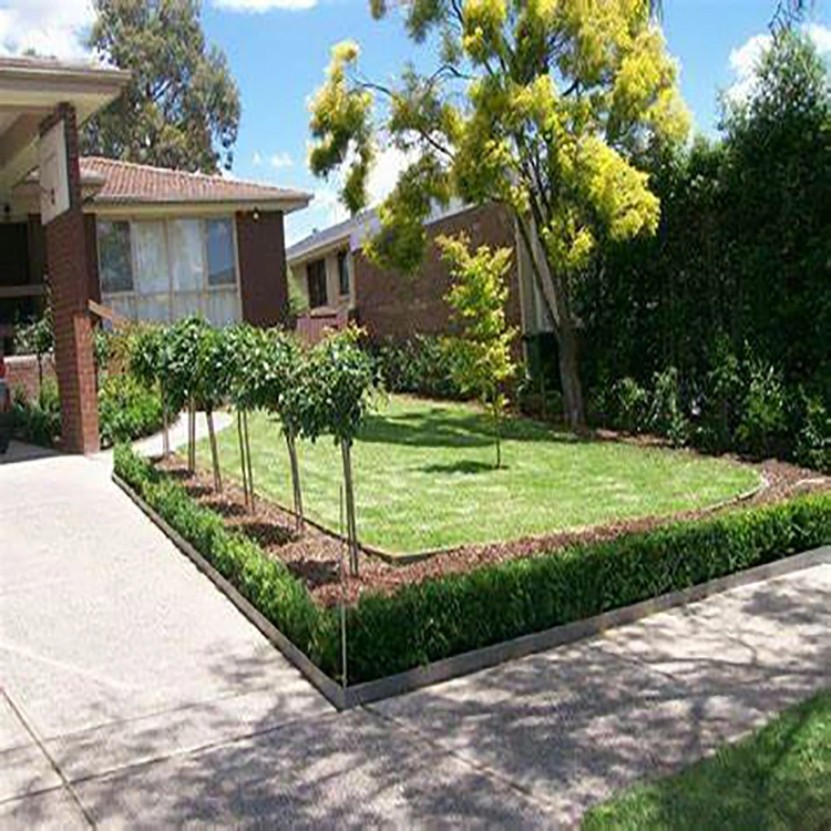 Garden Planter/Metal Flower&Grass Boarder