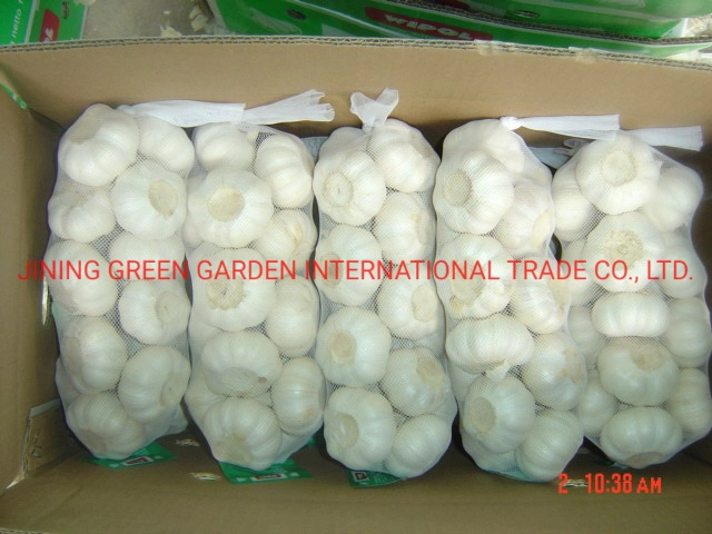 Wholesale Hot Sale New Crop Organic Fresh Normal Pure White Garlic Fresh Garlic Dehydrated Fired Garlic and Frozen Garlic Price From Factory Supplier