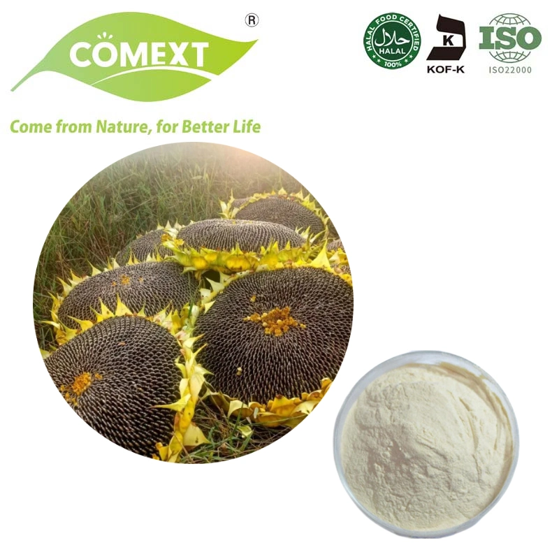 Comext Plant Extract Organic Vegetable Seed Oil Powder Sunflower Wholesale/Supplier 50% Sunflower Oil Powder