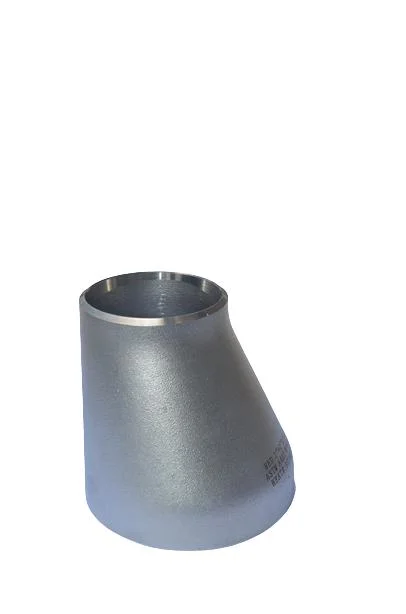 Bin Butt Weld Concentric Stainless Steel Seamless Pipe Fitting Head Reducer