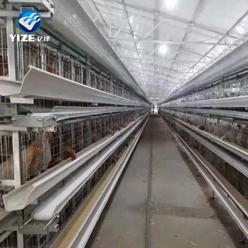 Hot Sale 5 Tier 200 Birds Laying Hens Poultry Farm Chicken Cage