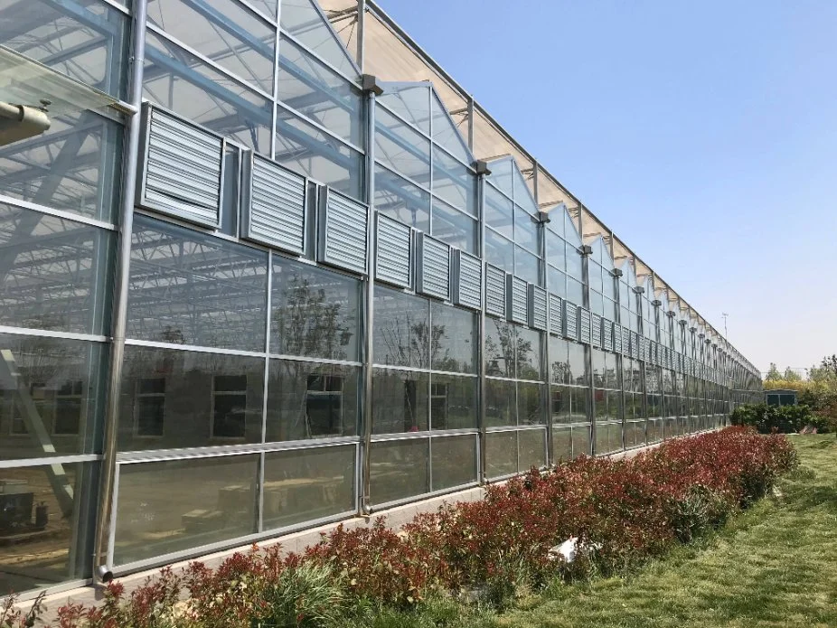 El bastidor de acero galvanizado comercial Cristal de la casa verde de frutas y verduras