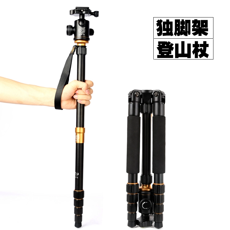 Qzsd Q666 Necessary in Portable Travel Photography Outdoor SLR Camera Bracket Digital Photography Camera Tripod