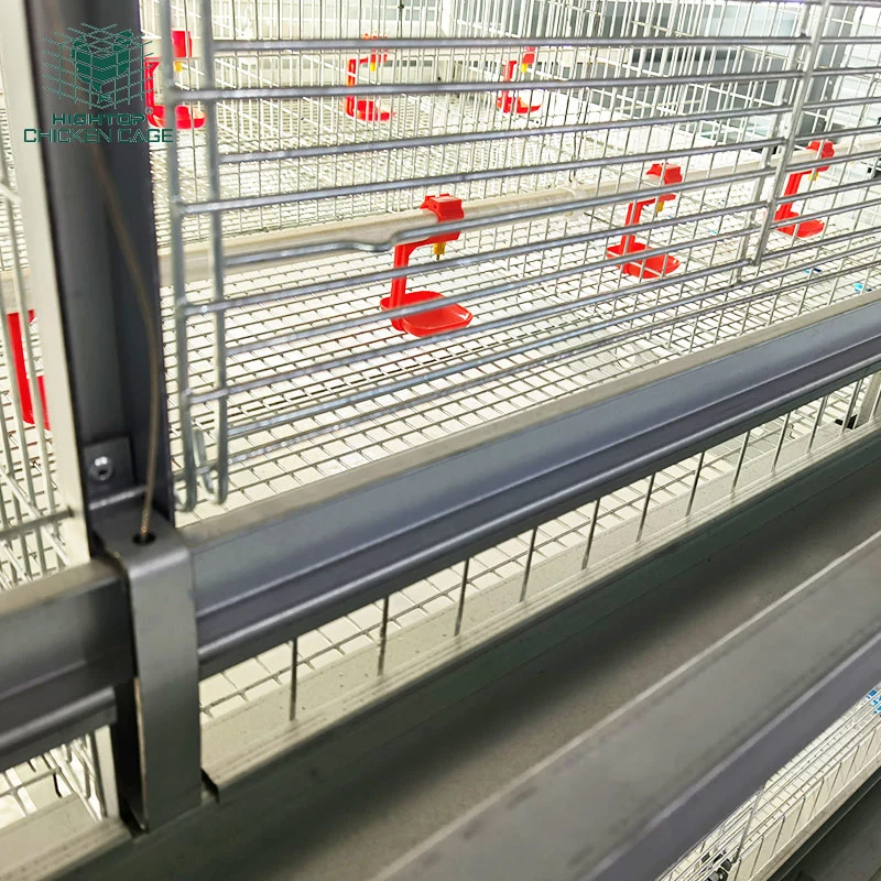 20000 Battery H Type Automatic Baby Chicks Cage System Poultry Farming Equipment