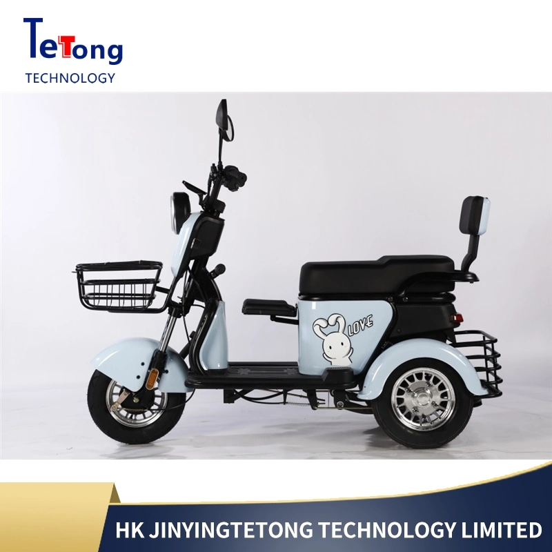 New Small Electric Tricycle Adult Home Use Women's Scooter Pick-up Children Elderly Electric Tricycle