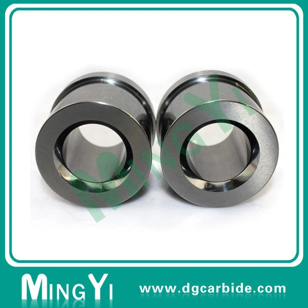 Highly Precision Plastic Mold Parts with Button Ring